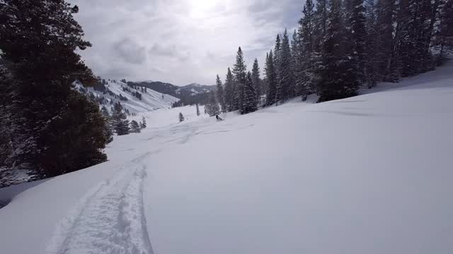 Snow conditions have improved #wyoming #polaris #octaneink #snow #ggbexhaust