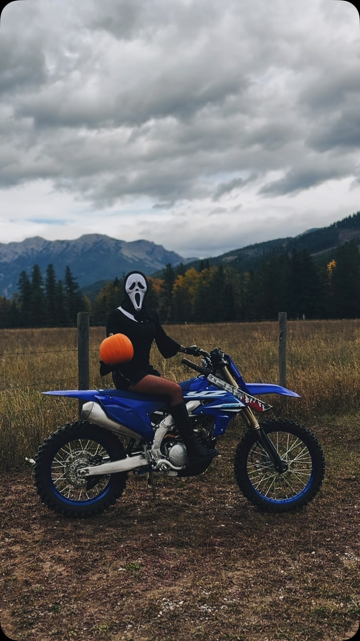 Spooky season is among us 👻