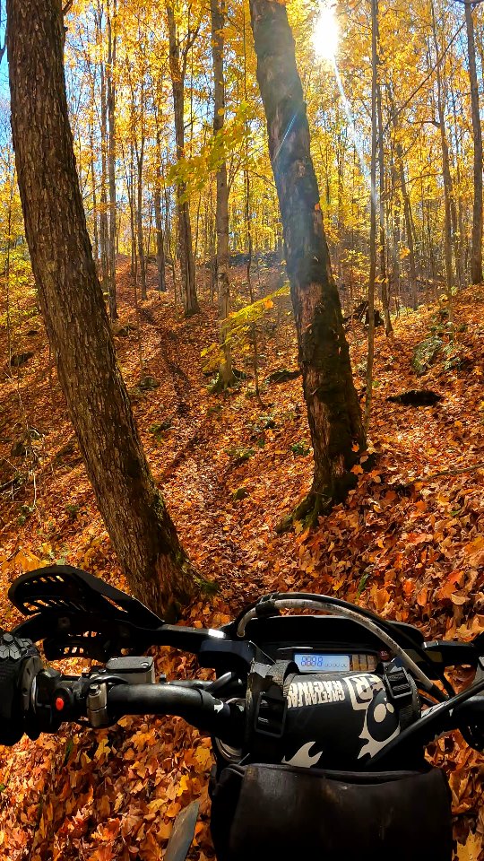 Some things are better experienced than watched. 🔥 
— 
Certaines choses sont mieux vécues que regardées. 🔥 

#Dirtbike #Enduro #AutumnRides #RideMore #ThatsMyKindOfTherapy