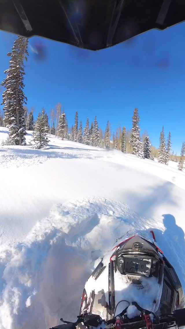 I only track poach occasionally 

#snowmobiling #boost #backcountry #braap