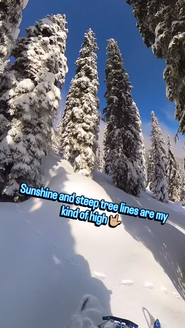Take me back to this day please! 🥺🙏

Pretty difficult to top this day this season, and maybe even since I started backcountry sledding…

An all around good time, with a wicked crew of fellow shredders, good snow, and can’t complain about the sunshine!
Not to mention, we set out with a goal of tackling this challenging zone entry, and we made it in!

Boostin’ my way up through these trees is totally a high for me 🤟🏼

#polarissnow #insta360 #highmarkbysnowpulse