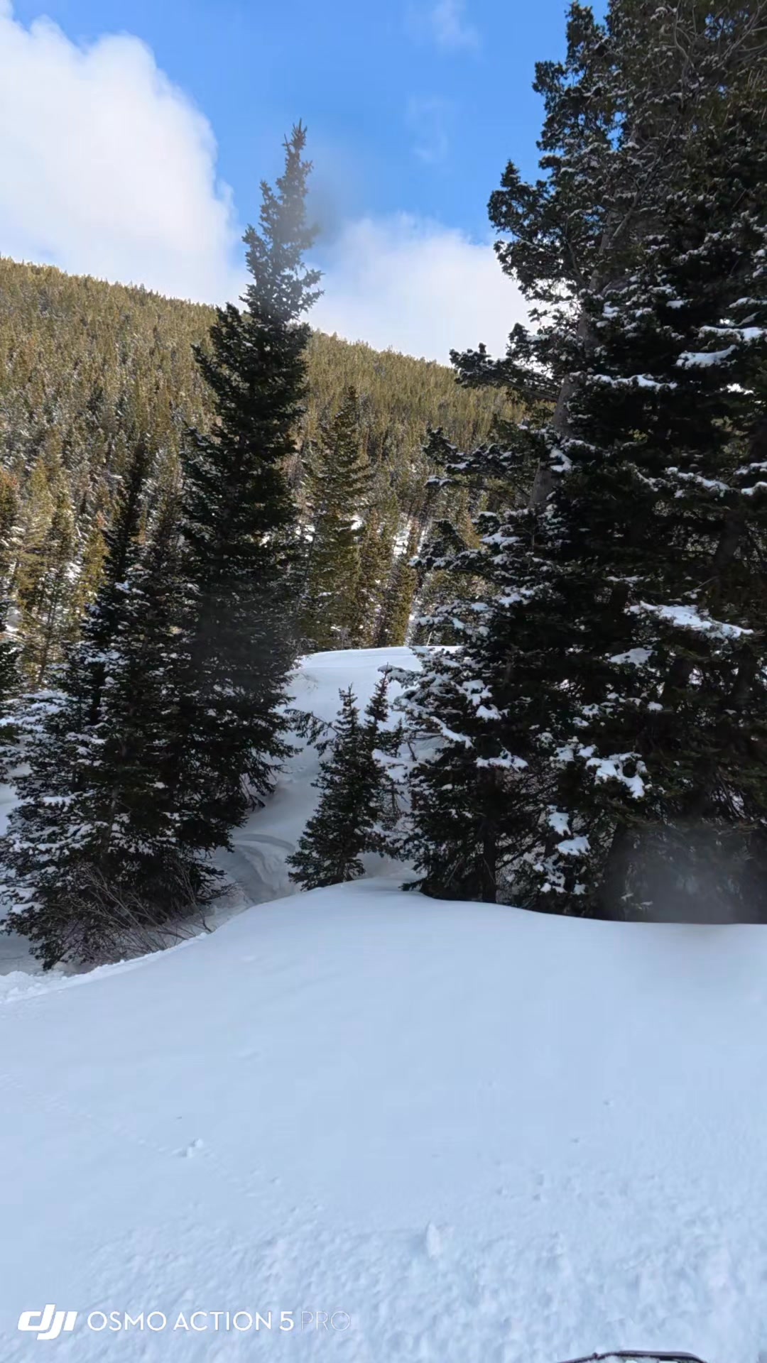 my absolute favorite part of having radios on the mountains is being able to make sure your buddy knows you saw him do something stupid! 🤣🤣 if you look really close you can see him face plant! Oxbow Gear

#fail #snowmobile  #help #watchthis