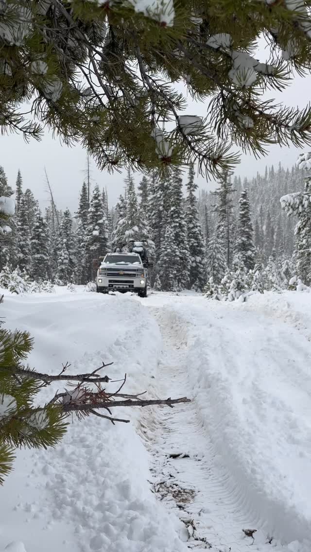 Spring Time Snow Hunting in the L5P @wehrlicustomfab @nozonediesel