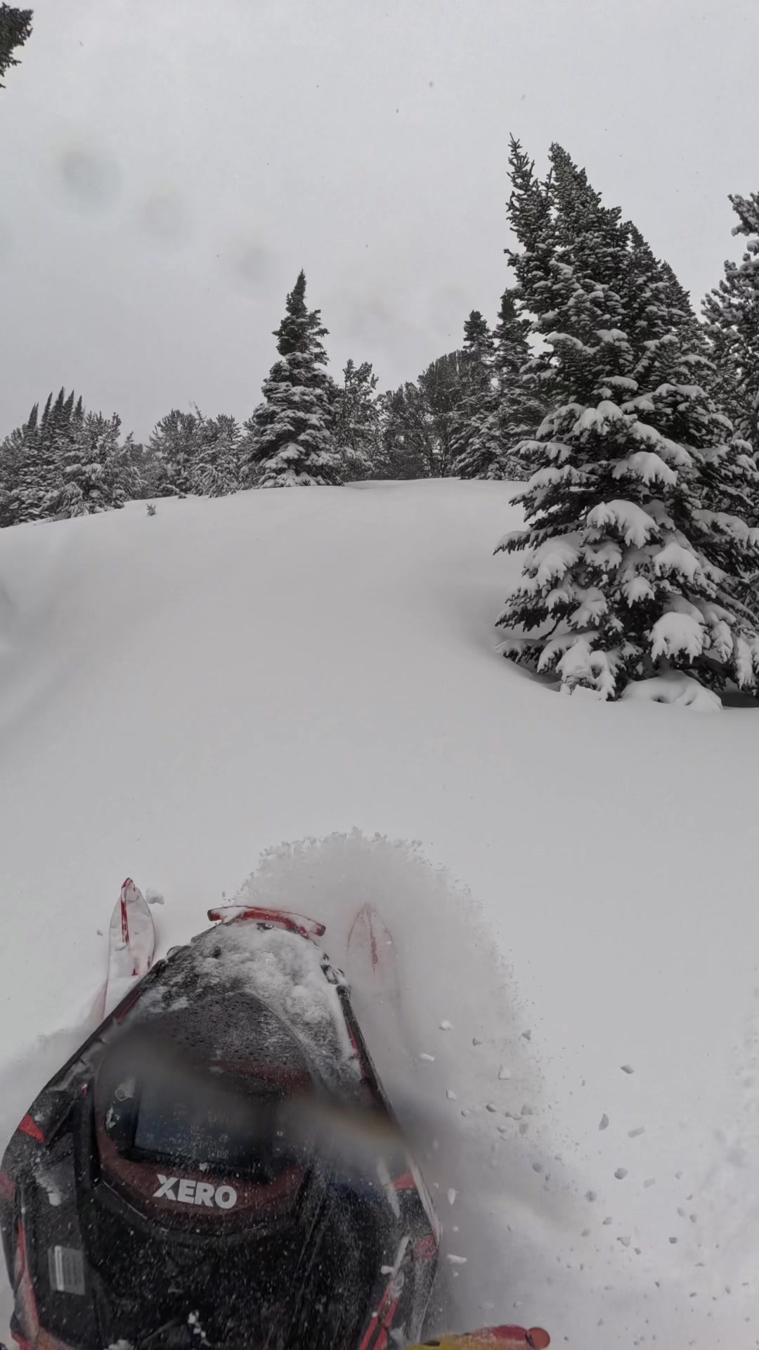 Last day in Cooke mid match having a wheelie good time in fresh spring snow 💪🤘😎