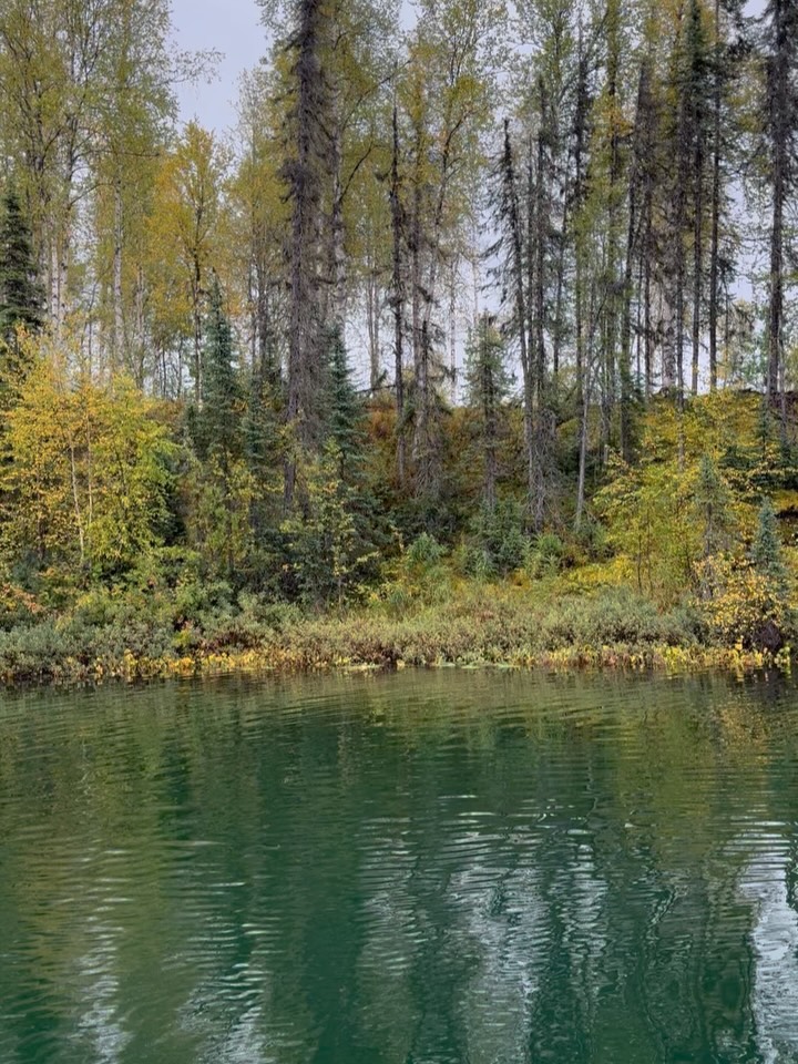 Loving all the gorgeous fall colors at the lake with @skeet.black  @skylandairpark