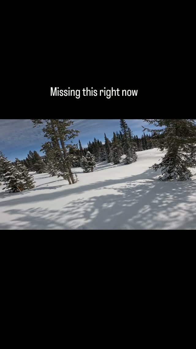 Everyone prepping for @haydays_grassdrags has me thinking of beautiful sunshine filled fog free pow days like this. Have some work to do to prep for a gnarly season and hoping to dial in on some more sponsor opportunities.
Big thanks to these folks for helping me to get a jump:
@sledsend 
@mountainsideperformance
@gluetread 
And all the other companies providing products I use and believe in:
@tempestoptics
@oxbowgear 
@avid.products
@cheetah_snow 
@munstercanada 
@3d_logik 
@startinglineproducts 
@skinz_protective_gear
@iceageperformance 
@carbonsled 
Hope for more additions to the list this year so watch out for that as well as a solid repair video to highlight the @gluetread track repair capabilities coming soon!!
#sledsend #sledsendbrotherhood #fogfree #tempestoptics #godscountry