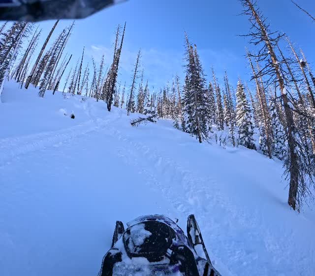 I’ve been waiting on this… Snow’s finally stacking up at home and we got after it the past few days! 😤
Winter is back and I’m ready for every bit of it ❄️🔥

@skidoo 
@klim 
@karlmalone_ads 
@tempestoptics 
@action_landscaping_kamas 
@motoassassingraphics 
@oxbowgear 
@redmondrelyte 
@carbonpursuit 
@tetonperformance 
@thomasracingfactory 
@backwoodsbmp 
@_johnsons_x