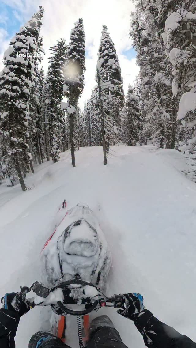 Workin' the 146 through the Jungle 🌲🌲

#snowmobile #winter #snowmobiling #idaho #snow