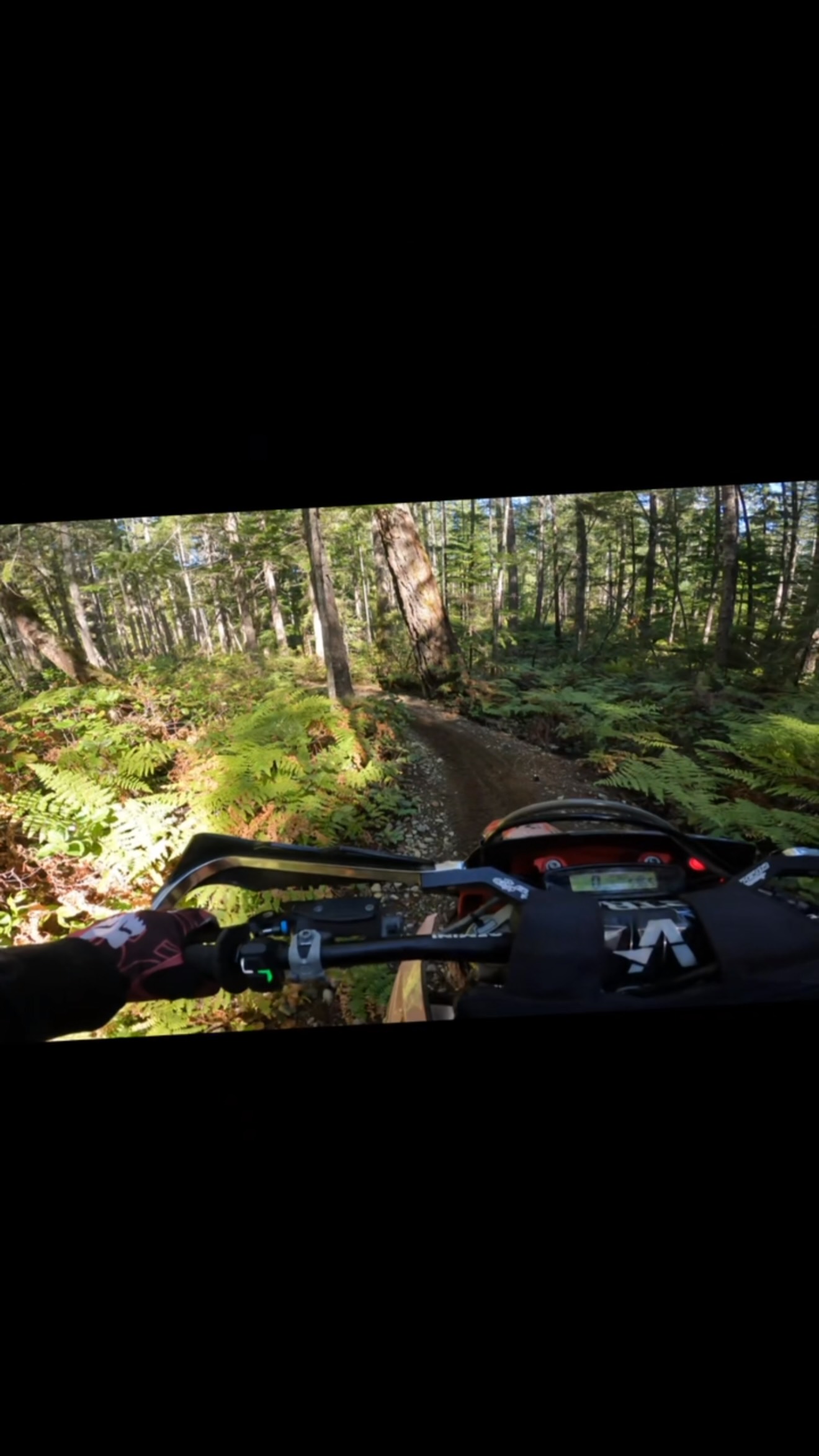 #offroadvixens #girlswhoridedirtbikes #twostrokes #beautifulbritishcolumbia #dirtbikes