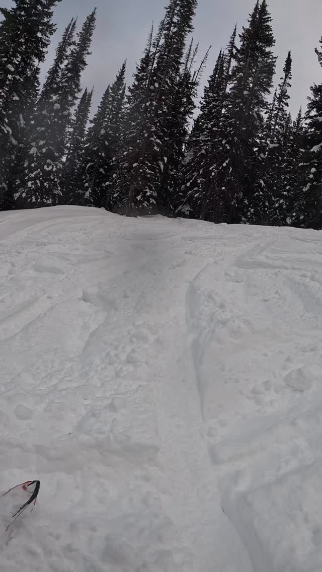 This trip has NOT been short on carnage. Turns out when you charge steep terrain wide open for two days straight, sometimes it charges back 😂. Speedwerx 50/50 tune is rippin!

#polarissnow #klimlife #arcticfxgraphics #speedwerxusa #foxshocks