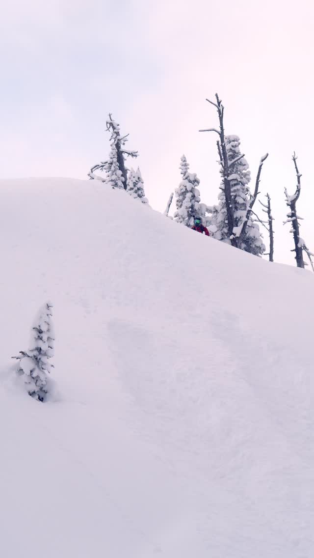 The timing for that new orange crush Summit Expert, @skidoo brought out to me? Was as perfect as it gets! #thatskidoofeeling #skidoo 🎥 @osborneready