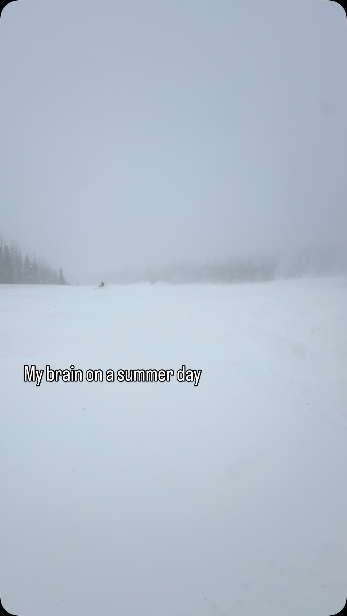 CANT WAIT!! 🥳🥳 #snowmobile #winter #snowmobiling #sledding #snowday