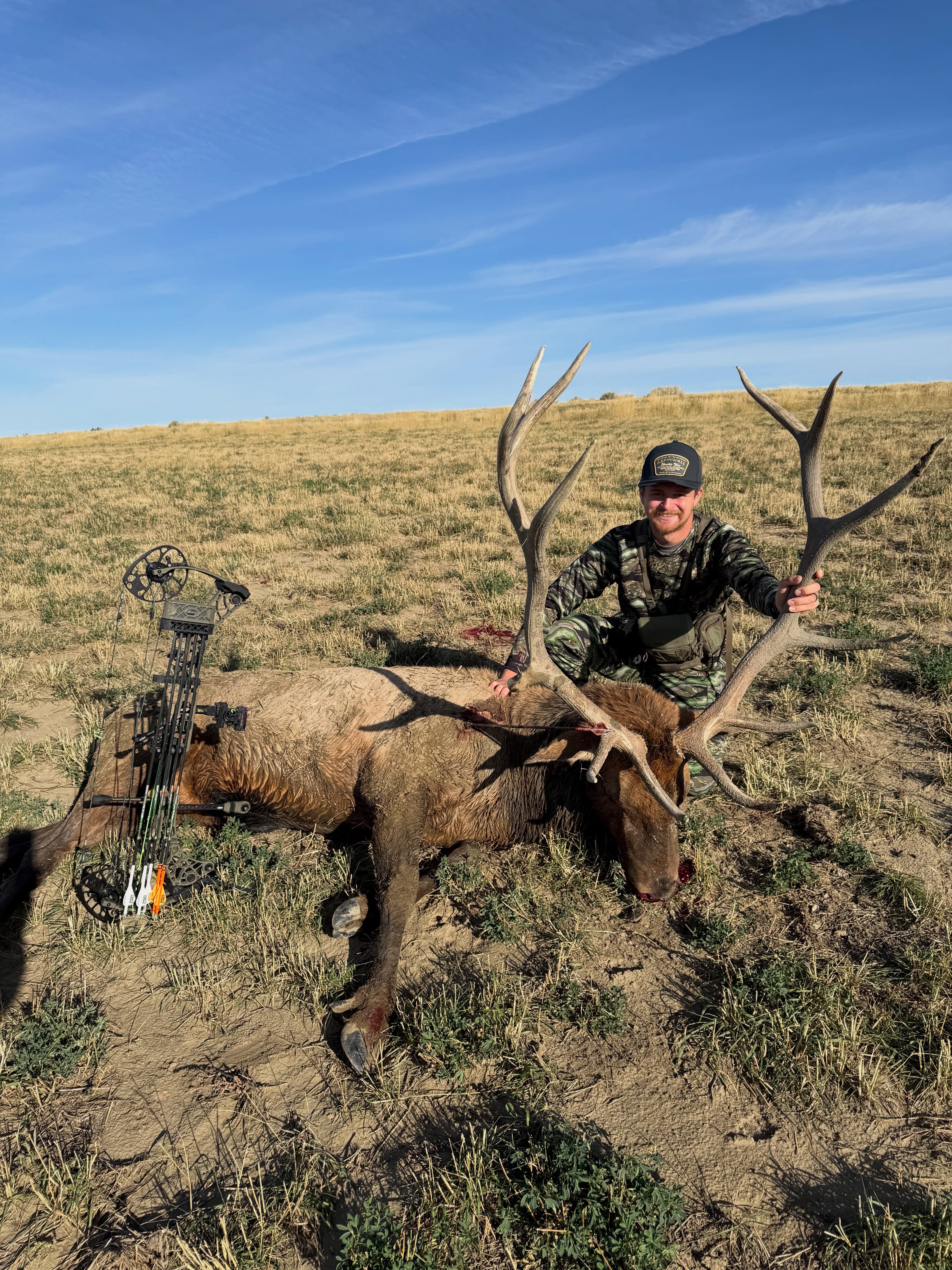 Elk Camp 2k26:
First Archery Bull ✅
Make Memories ✅
 
 This bull is special to me not because it was my first archery bull, but because my amazing wife got to experience it all with me! He was the 10th bull we got on after 2 days. He wasn’t the biggest out of the 10 other bulls, but I wouldn’t have it any other way. It was an accident that we got a bull. We were just practicing our bugles and cow calls walking back to the hunting cabin cause our weekend of hunting was over, or so we thought! We heard and saw a bull bugle back at us so we went after him. In the process of stalking bull number 9 we happened to see this 7x6 bull walk across a hay field. We went after him, hide behind a small sage brush bush and ranged him at 53 yards quartering to me. Launched an arrow and dropped right into his lung. The whole weekend went the way it did for the bull. My Lord and Savior had a plan for me to get this bull and to learn from this experience. Blessed to be able to hunt these amazing beasts🤘🏻

Got a little excited and quit filming😂

Had to get more angles

❤️

Early morning😴

🥵

Maybe not the best hunting dog but he sure is the cutest🥹

Best sunsets ever there

Ollie loves Elk Camp

Really windy and cold that morning🥶

Emmy looking at Bulls

Family picture🫶🏻