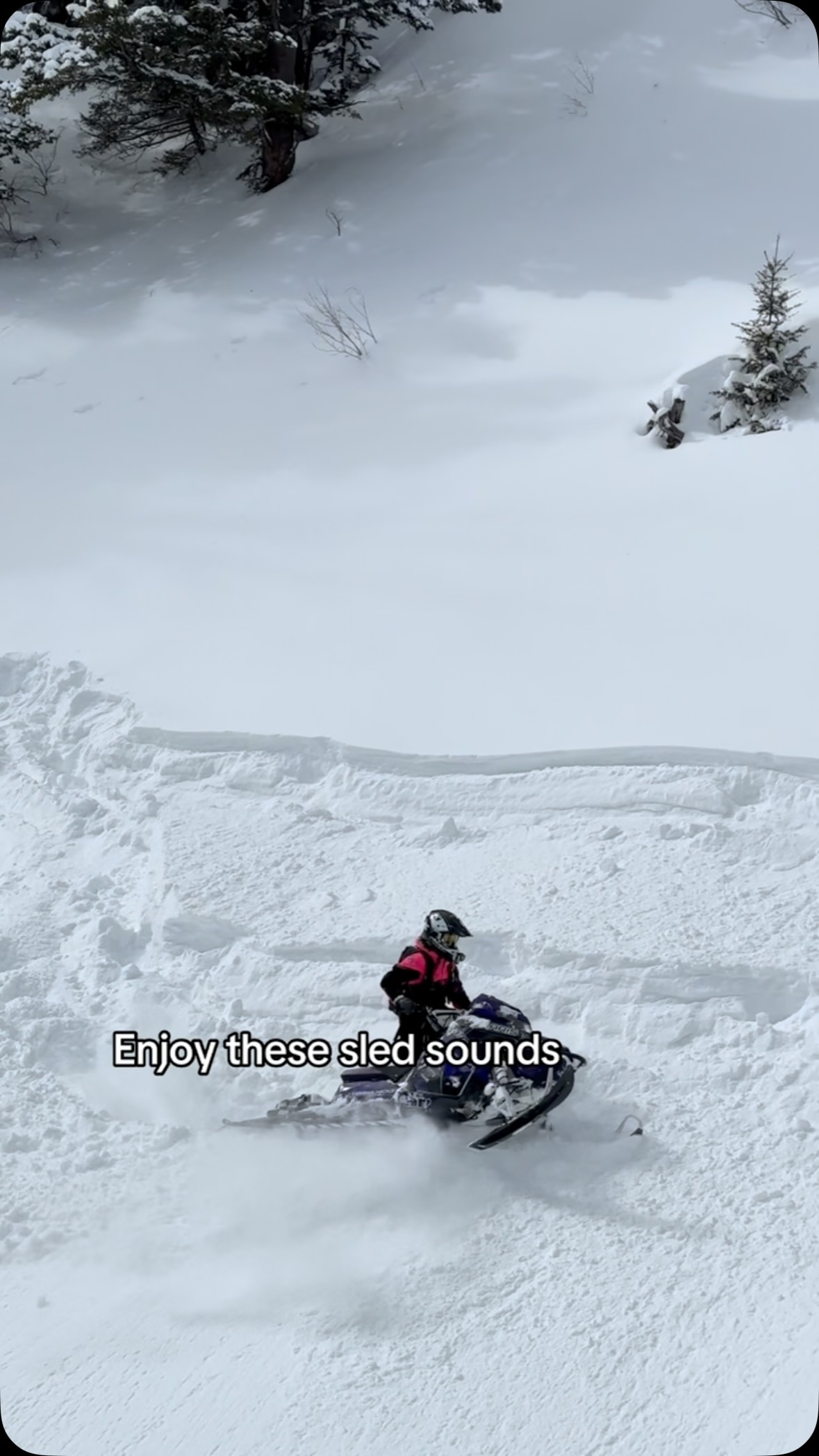 Music to my ears 🎶😌 #snowmobile #winter #sledding #snowmobiling #sledlife