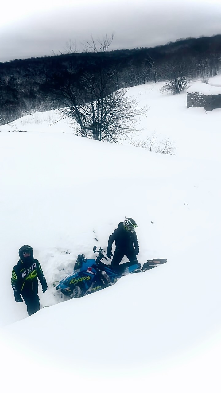 Young buck found the wrong hole to get in 🤣