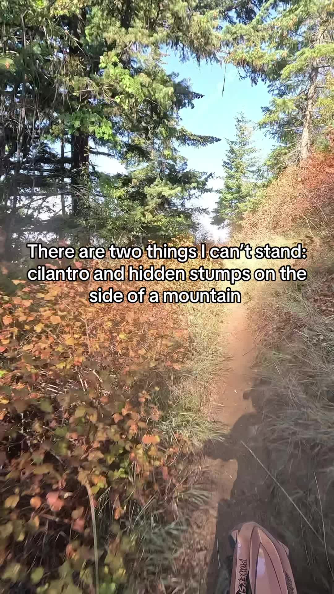 Oh hey cliff, didn’t see you there 😮‍💨😅  . . . #beta #betaxtrainer #enduro #2stroke #girlswhoride #girlswhoridedirtbikes #dirtbike #endurolife #dirtbikelife #powersportsunlimited #throttletherapy #optoutside #enjoytheride #relatable