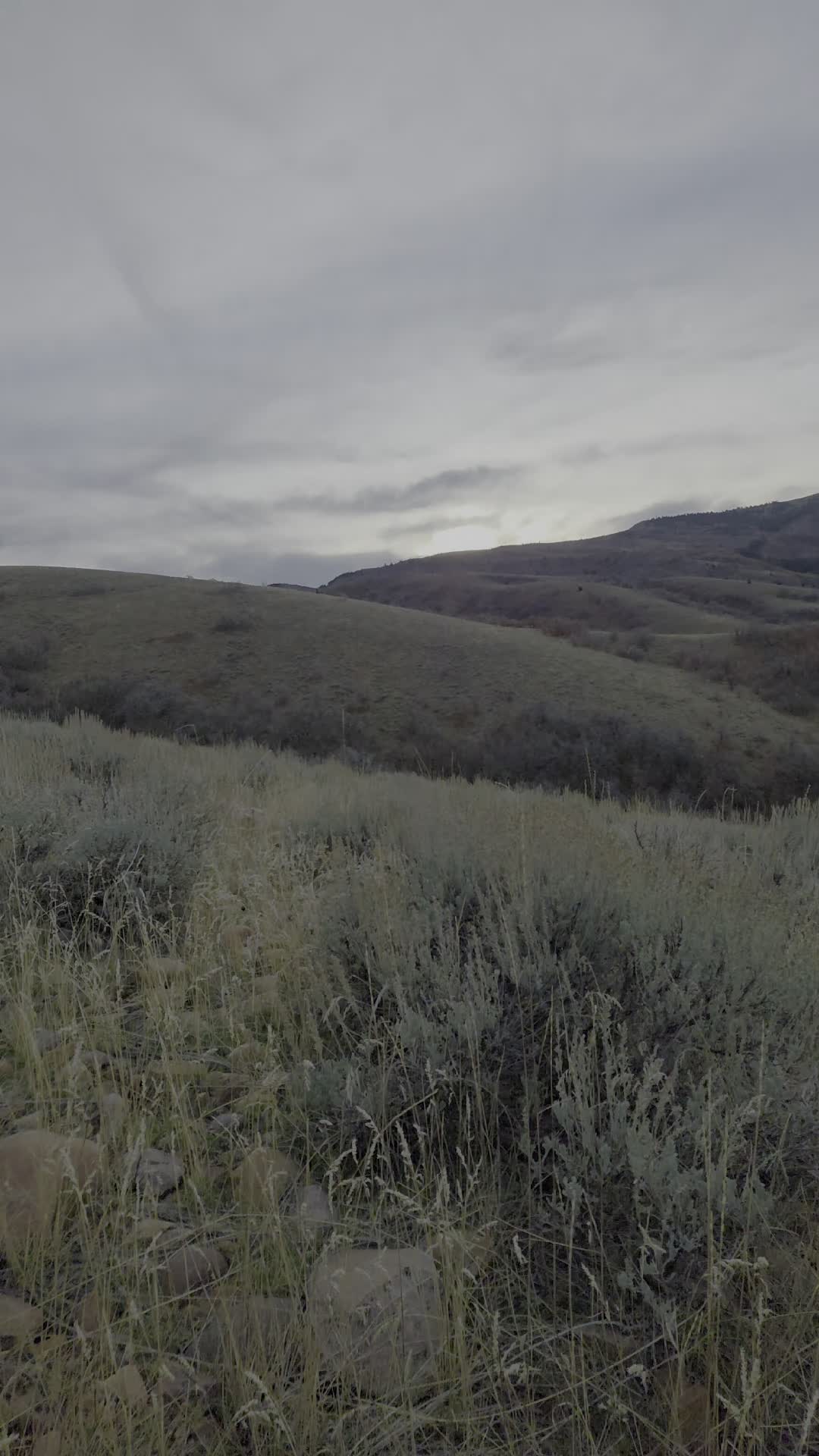The hike was worth the sunrise! #hunting #tagsoup #untilnextyear 