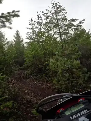 #enduro #foryoupageofficiall #dirtbikes #vancouverisland #girlswhoridedirtbikes @Taylor 