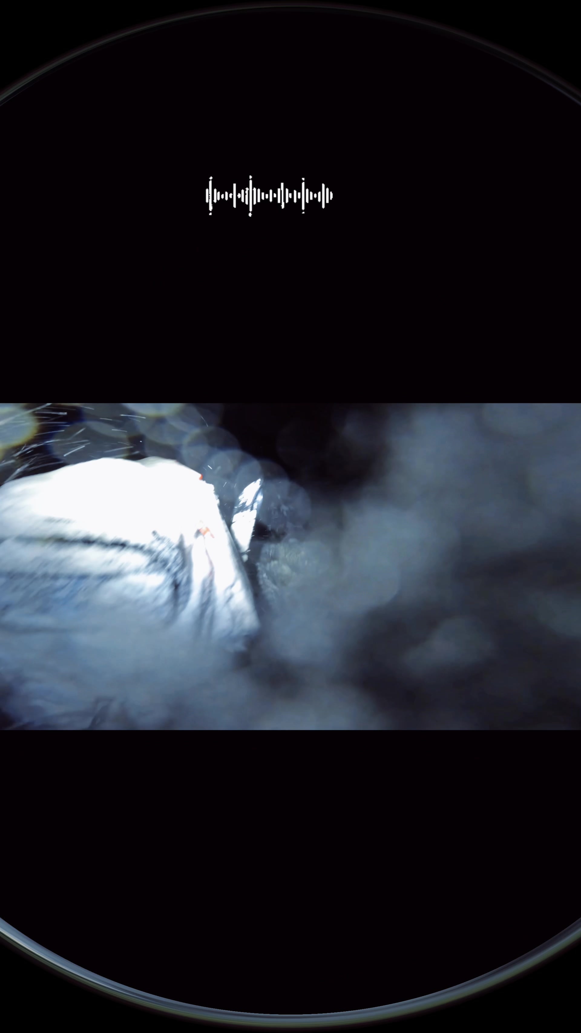 Chase the darkness #alaskamountainmedia #oxbowathlete #oxbowgear #polarissnowmobiles 
