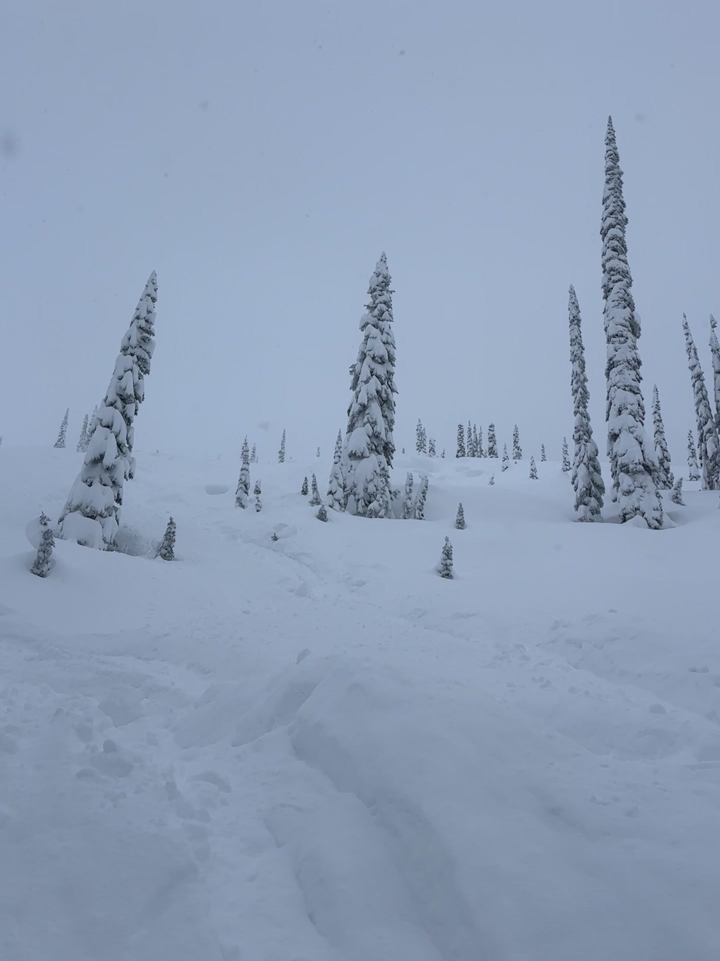 Christmas pow slaying! @Ski-Doo @robalford #thatskidoofeeling 