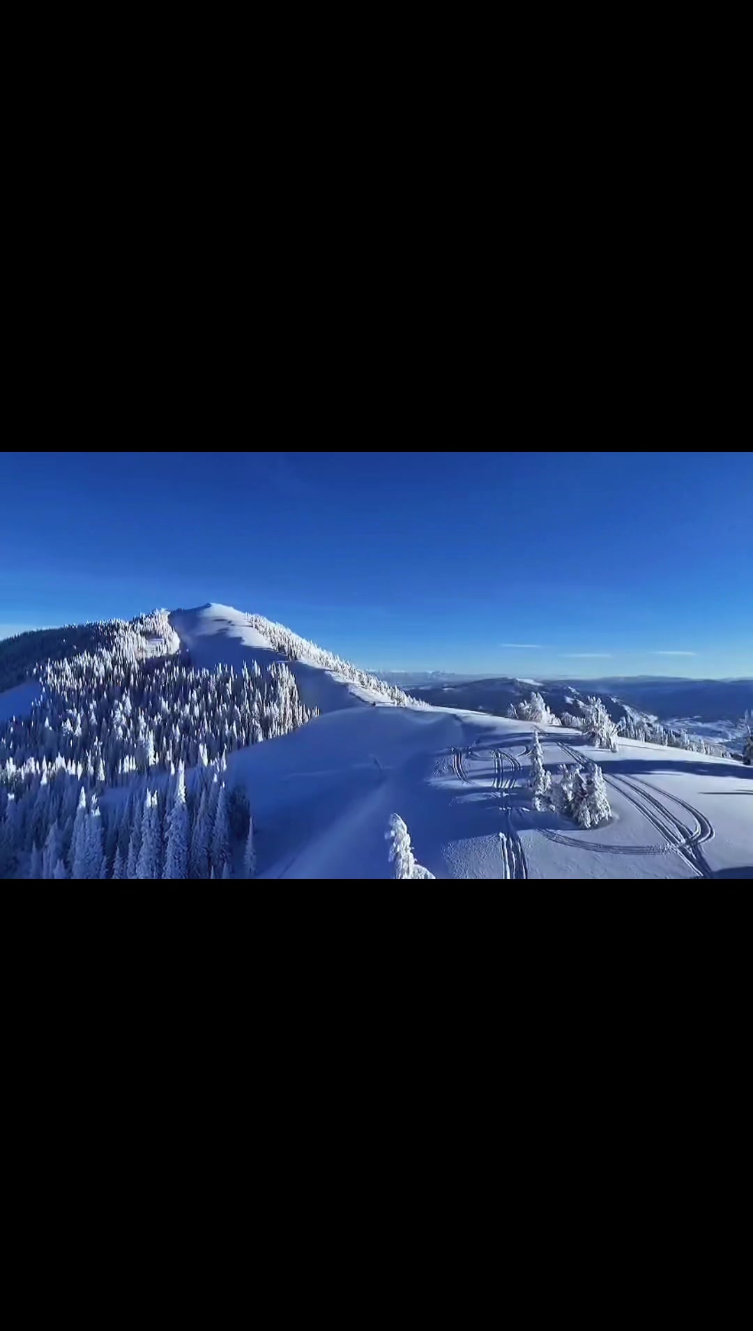 #backcountrybandits 