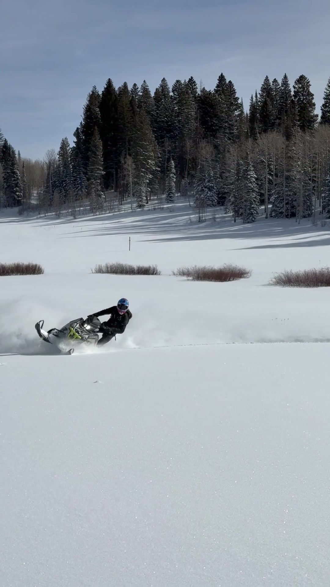 We are SOOOOOOOOO back!!! Meadow mashing has commenced!!!!#snowmobile #snowmobiling #snowmobiles #pow #colorado 