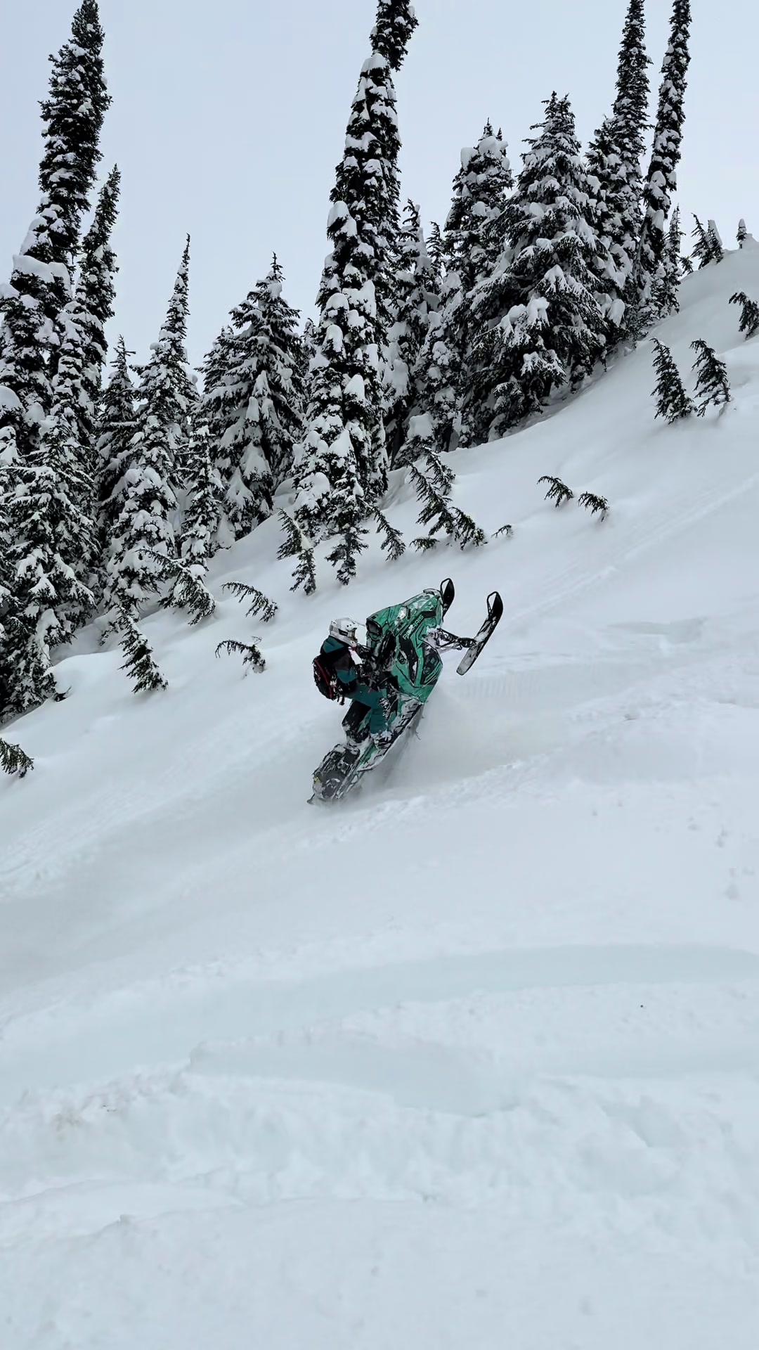 Yep I can do this everyday😎 #girlswhoride #snowmobile 