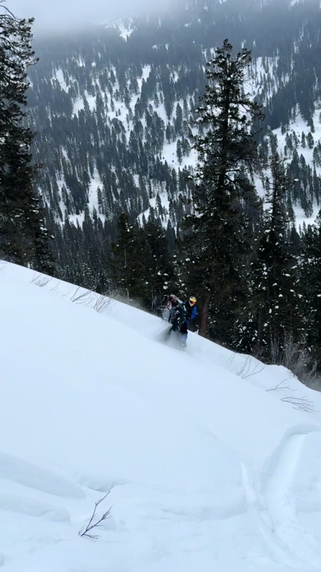 Getting sendy pulling some chutes🤘. #sledsend #muthafuknsnowday #sledtok #sledders 