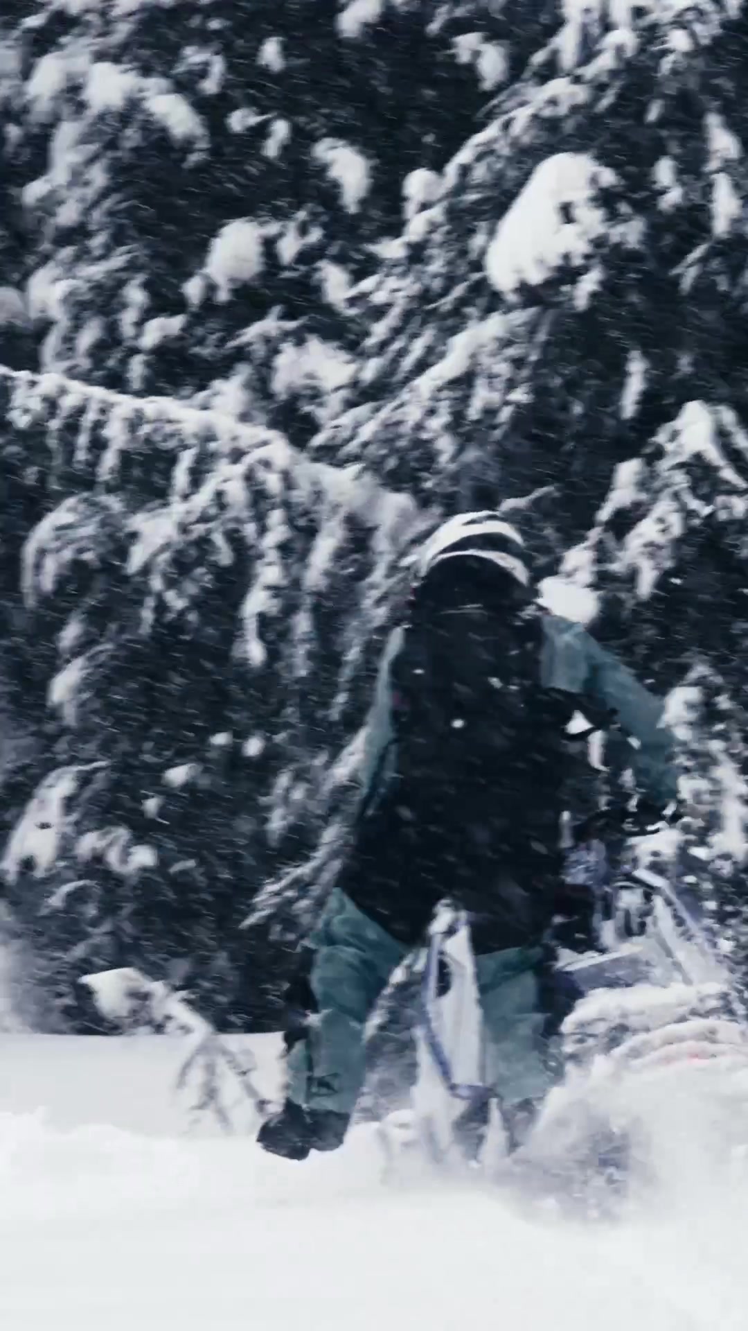 Kuttin bocolate bip bookies 🍪 🎥: @Justin Ponsor  @sledsend  @sledusa 
