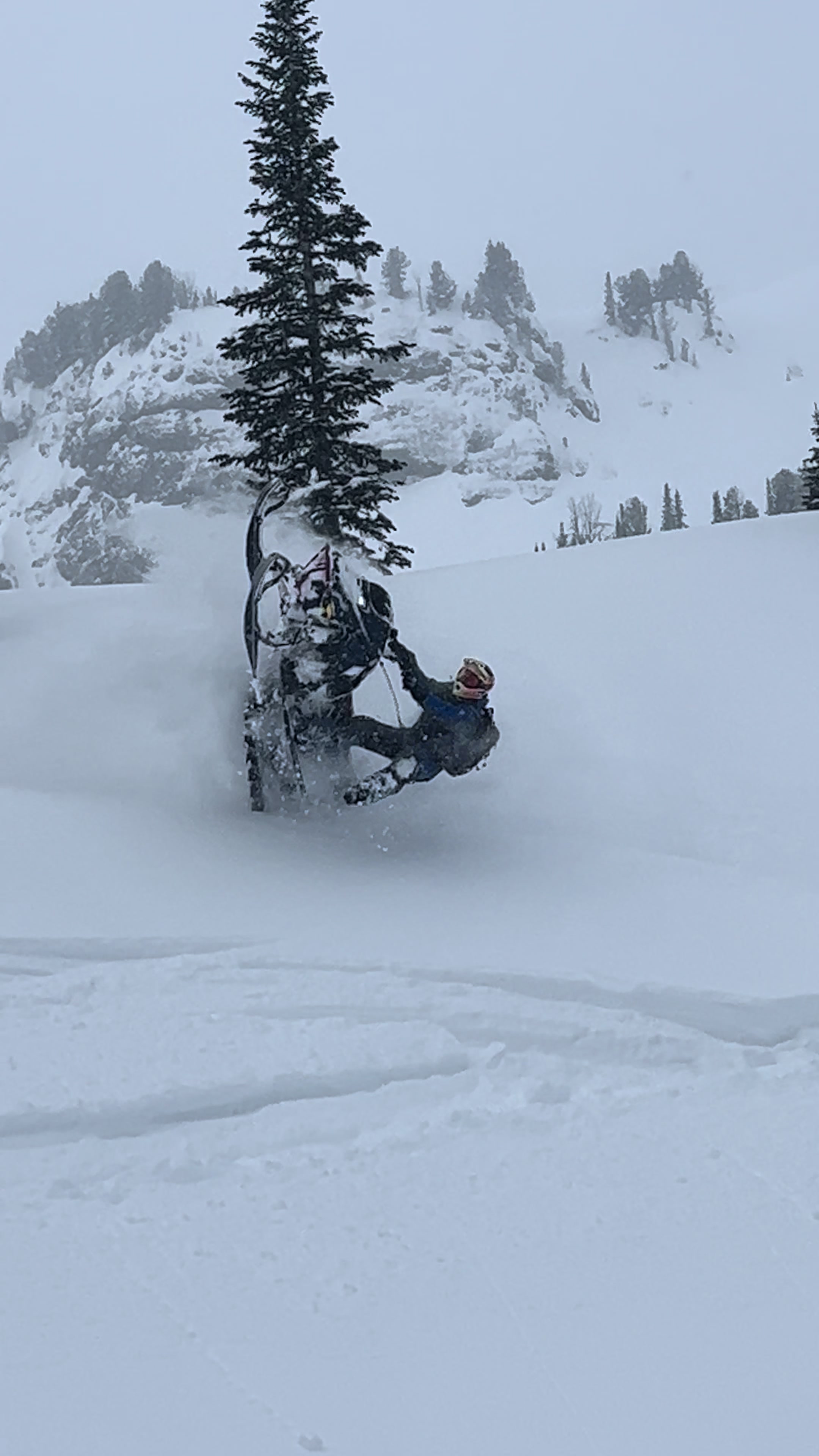 By the time you see this you’re already too late😉. Finally some freshies🙏 #sledsend #sledtok #sledders #snowmobile 