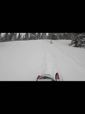 Finally gotta ride #fyp #snowmobilevideos #skidoo #wyoming 