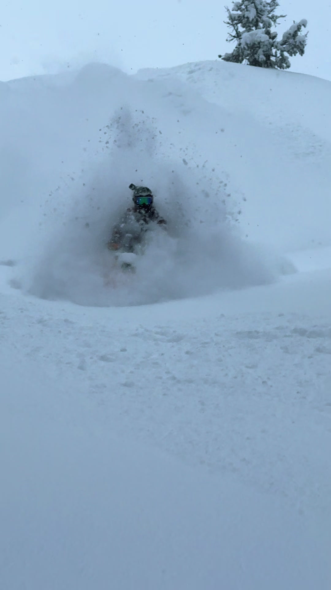 Pow days are finally back after a 6 week drought!! @Ski-Doo #skidoo #thatskidoofeeling loving this new 2027 Summit Expert 