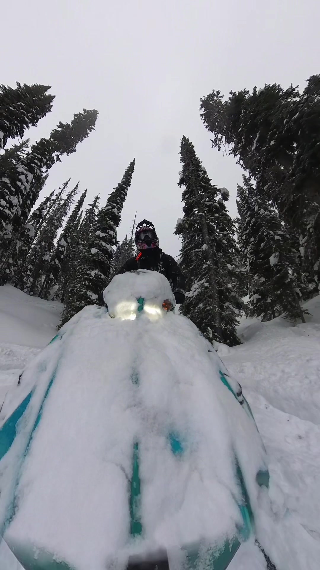 Playing around with angles on the 360, what does TikTok think of this  #bowtie #polaris #insta360 