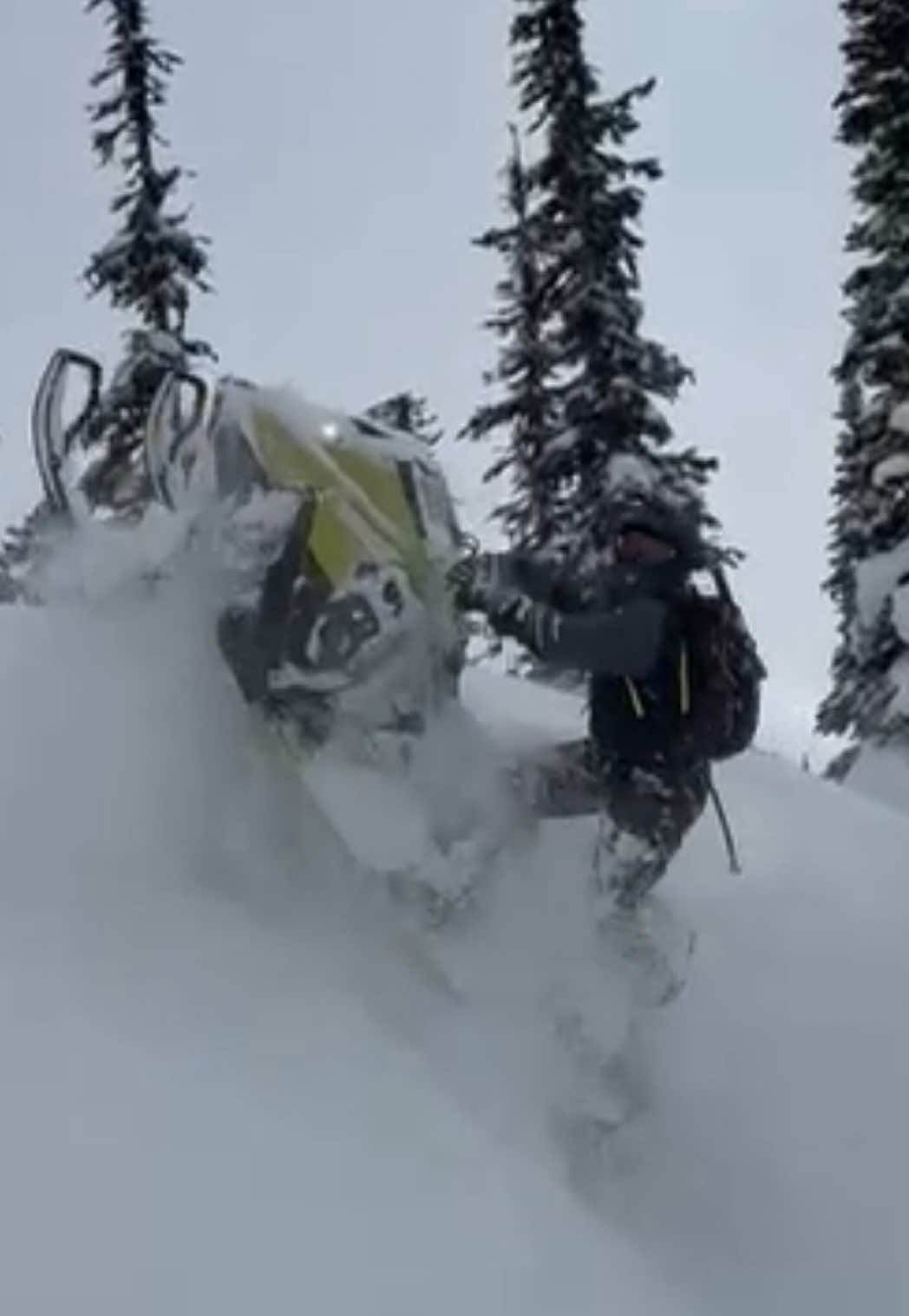 Revy reset 🤘🏻❄️#skidoo #polaris #509 #revelstoke #explore 