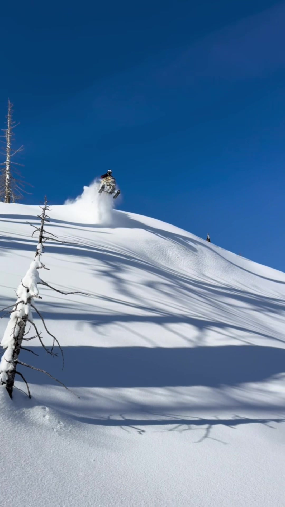Timed our latest storm just right! Blue bird day after a week long storm in our local zones with some awesome guys was killer 🤘🏼#freshpow #snowmobile #snowday #fyp @Lynx Snowmobiles @sledsend @Tempest Optics @Oxbow Gear @C&A Pro Snowmobile Skis @Pure Adrenaline Motorsports @Dialed performance llc 