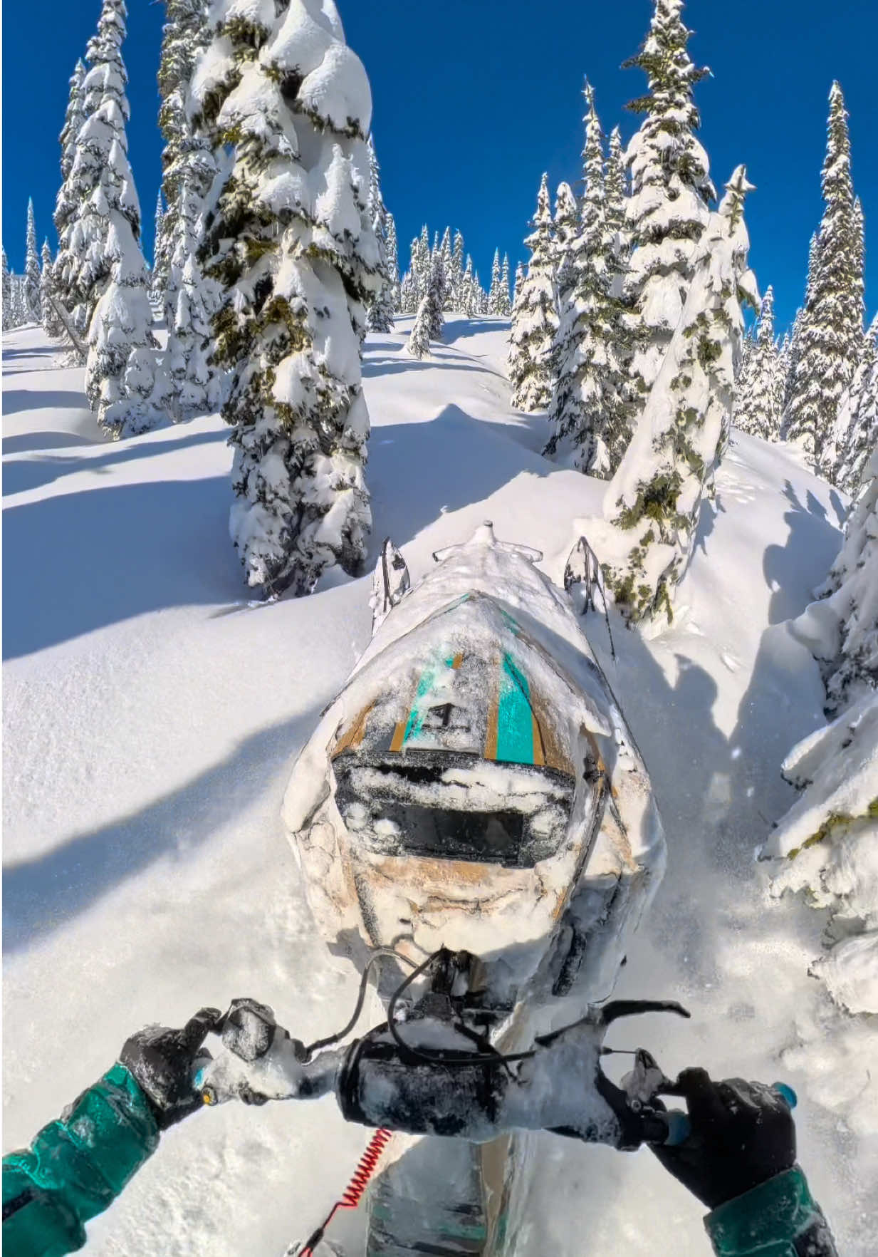 Boostin through white waves & evergreen sails 🤘🏽 Doesn’t get much better than this! 🙌🏽 @GGB Exhaust  @Oxbow Gear  @ArcticFX  @CheetahFactoryRacing  @Freshies Built  @Ride Fast Company  @Polaris Inc  • • • • • • • • • • • • • • • • • • #snowmobiling #backcountry #polaris #montana #fyp