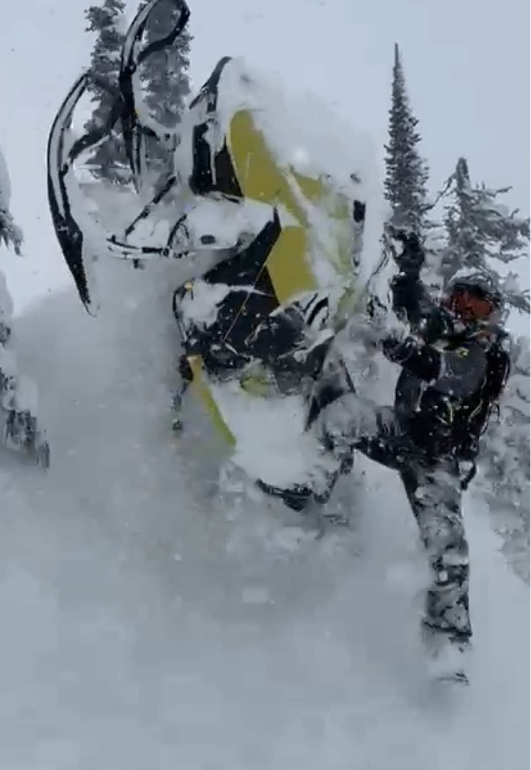 Camera man never dies 😛#skidoo #509 #revelstoke #brap #freeride 