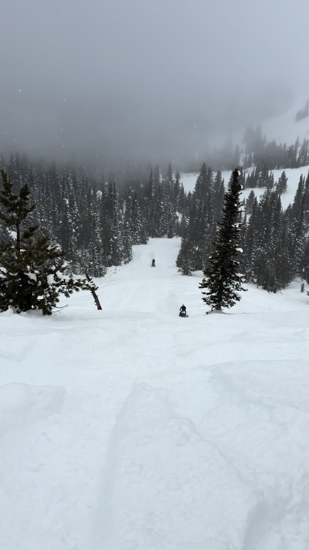 Me and @Porter Jacobson rippin the 2027 freerides! The new 27 mapping pulls so hard and that new rear suspension is a game changer!! 🤘🏼 @Ski-Doo @Island Park Adventures @Tempest Optics #thatskidoofeeling #idahome #freeride #lifesgood #snowmobiles 
