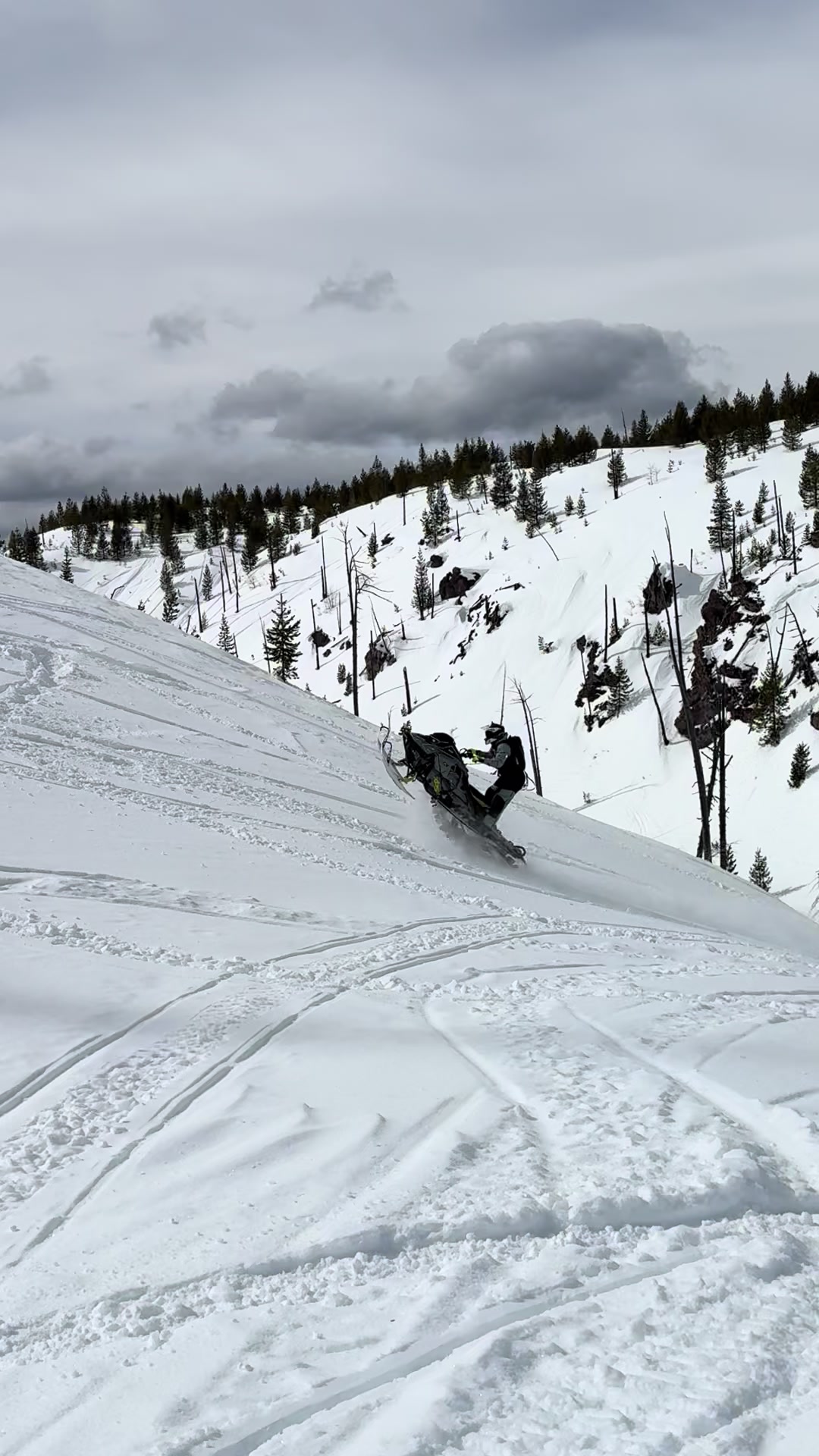 It really is    #skidoo #snowmobile #revelstoke #snowmobiling #explore 