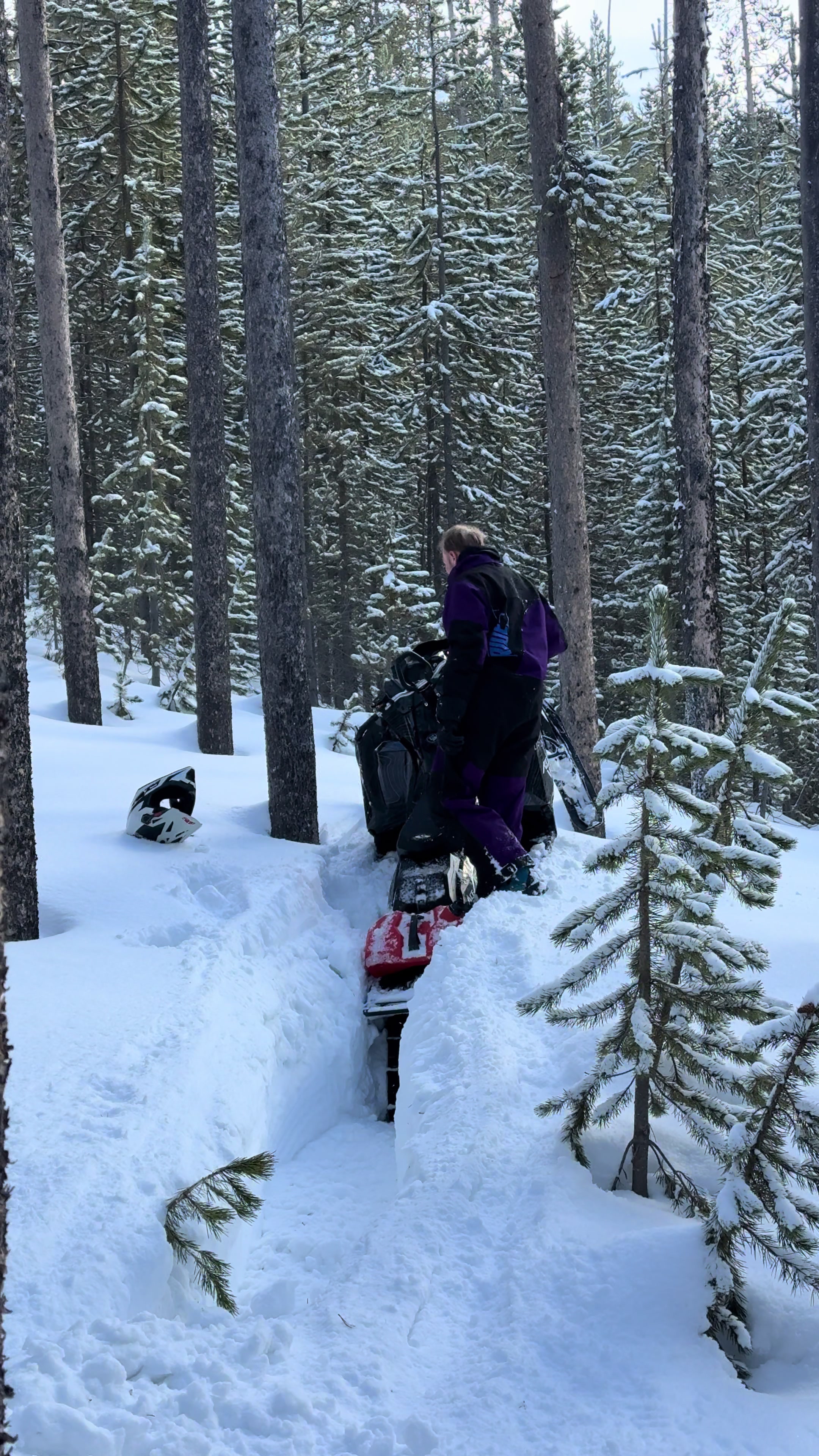 I mean, I’m not stuck 😏#skidoo #snowmobile #explore #thatskidoofeeling #revelstoke 
