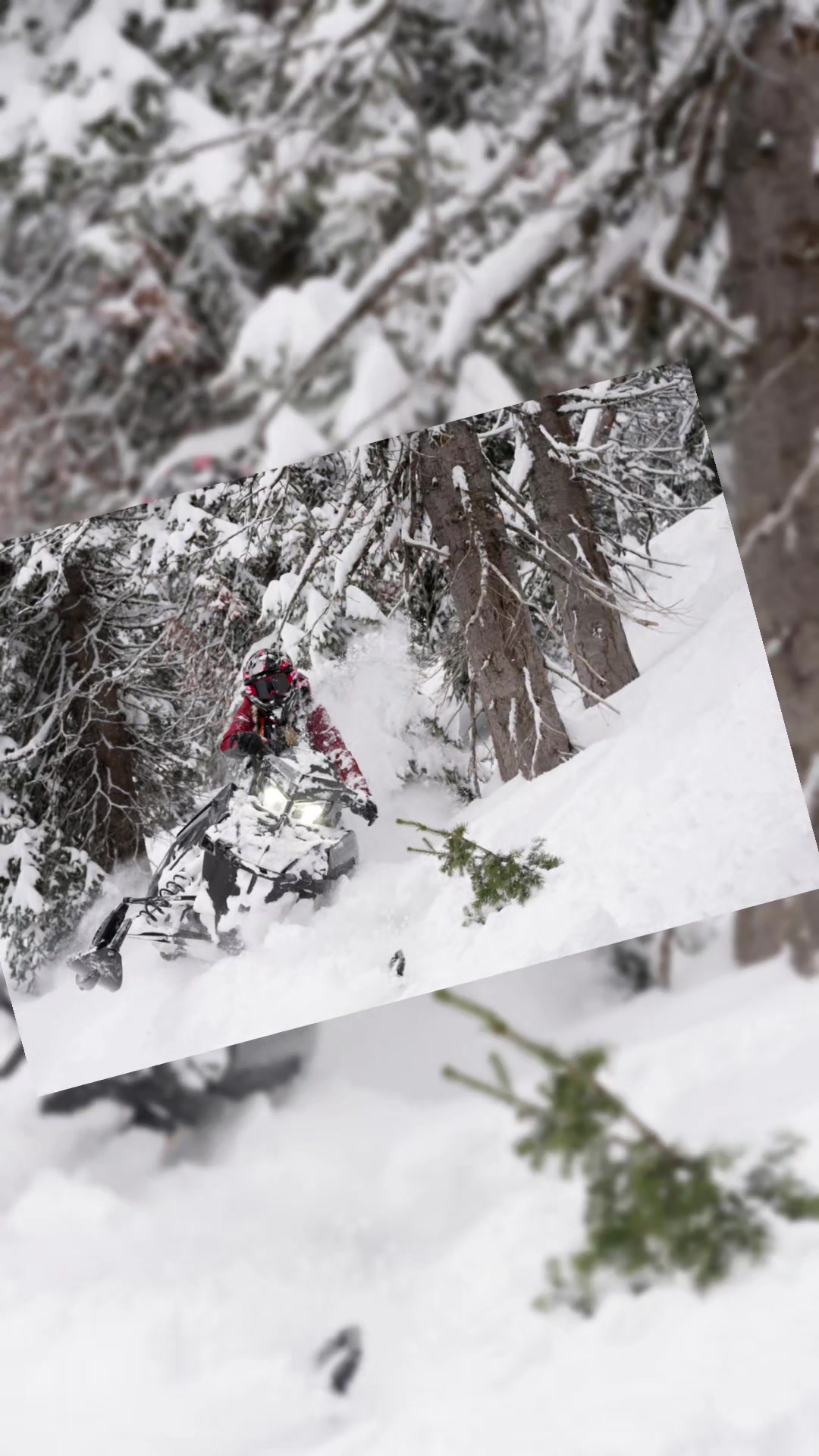 Only four days left to snowcheck your @Polaris Official sled! Just a reminder that Factory Edition, and Boosts are snowcheck only.   Did you snowcheck?  #PolarisSnow  #Snowcheck  📸 @toddwilliamsusa
