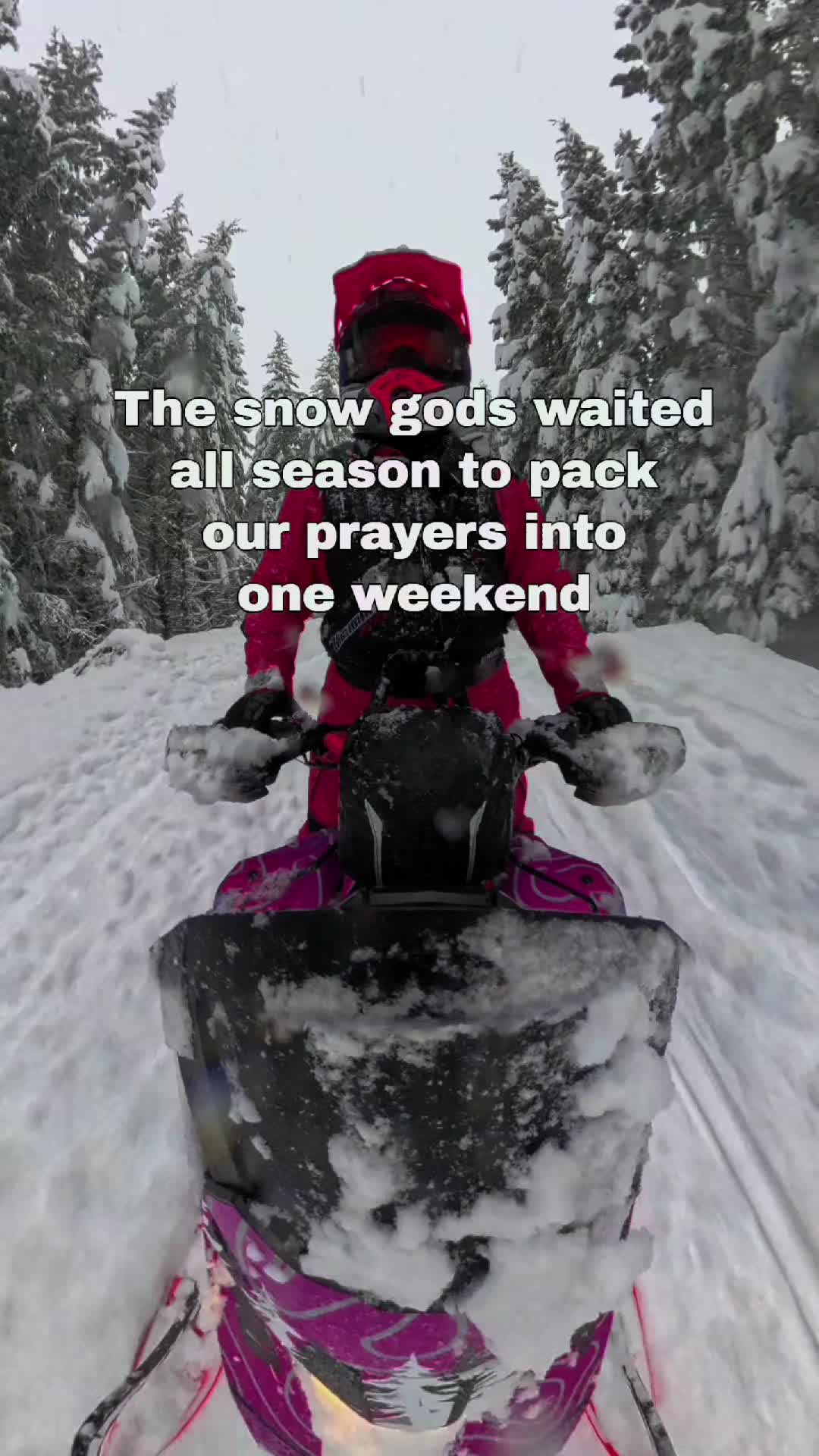 Better late than never ❄️🤘 #Snowmobile #Snow #Mountain #DSGSnow #SledLife @DSGOUTERWEAR @Oxbow Gear @sledgirlz @Tempest Optics @Ski-Doo @Deviant ink @OuterImpact 