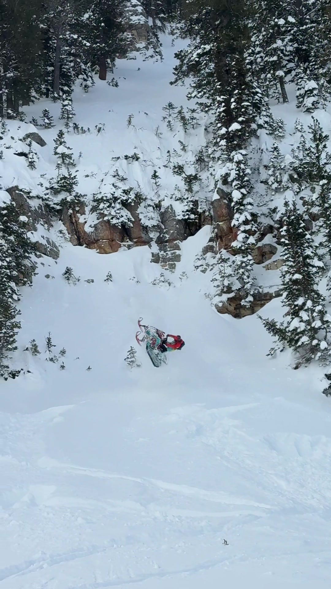 Whip it out😎#sledtok #sled #snowmobile #snow  🎥@Madds 