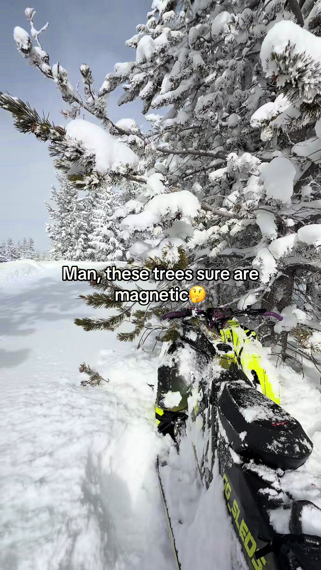 Anyone else have this problem?  #sledding #deeppow #thatskidoofeeling #girlswhoride #sledfails 