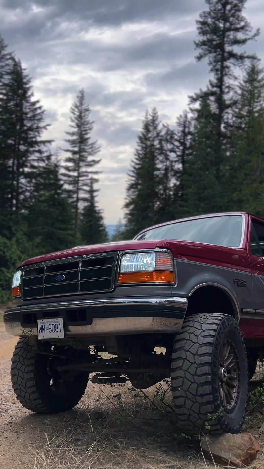 Pretty girls ride in Fords btw             #OBS #revelstoke #Ford #truck #pimp 
