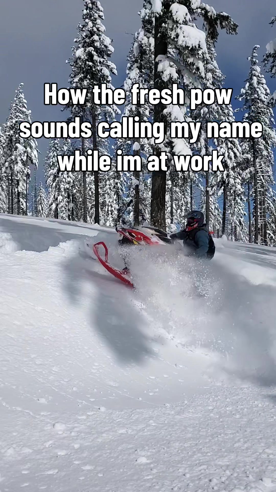 Peep the name 👀 How come all the freshies always dump during the week days 😩  #snowmobile #fyp #winter #comedy #funny 
