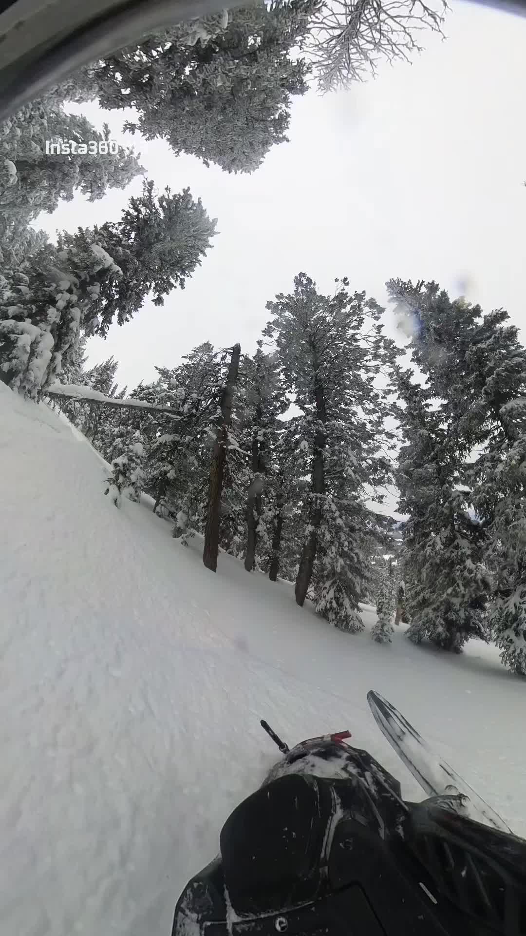 #snow #fyp #turbo #mountains #skidoo @Ski-Doo @freddurst 
