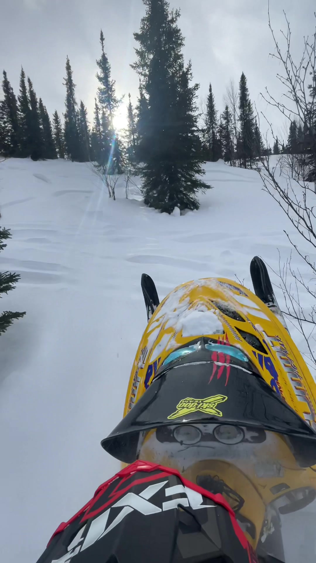 ❄️❄️❄️ #skidoo #mountains #snow #north #snowmobile @CheetahFactoryRacing @TOBE Outerwear @Ski-Doo @Powder Bound Adventures @Backcountry Sledders @SNOWMOBILEFAILS @FXR Racing 