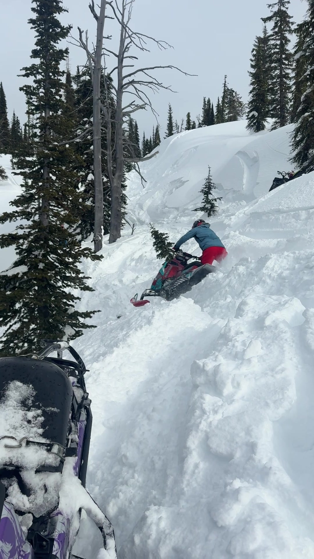 14 year old me would never believe how far I have come🙌 Keep pushing, progress takes time👊#sledtok #sled #snowmobile #snow #progress 
