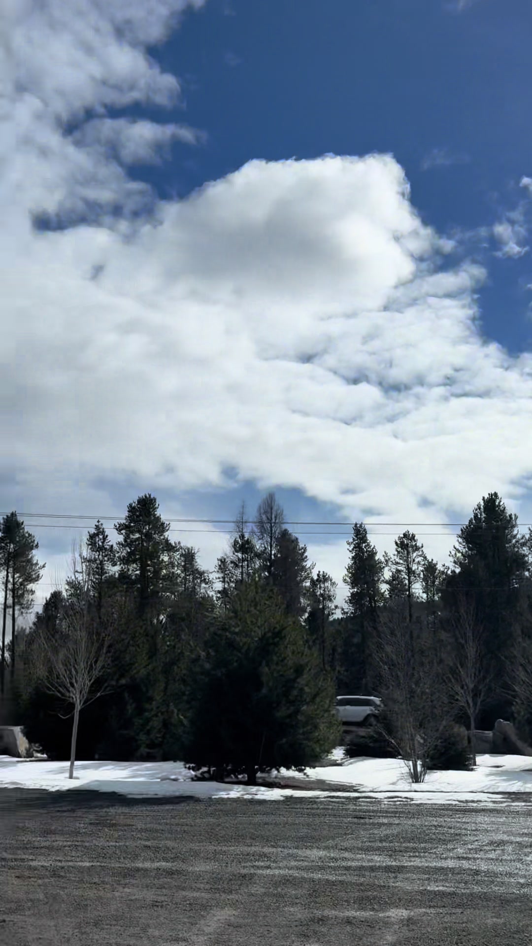 Throwback to McCall trip with the @sledsend crew! #snowmobile #idaho